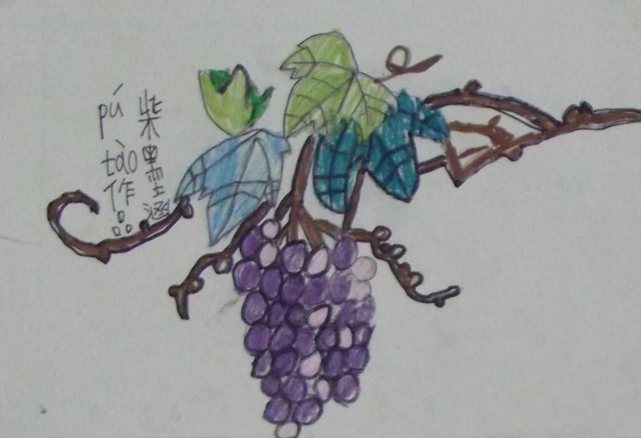 葡萄 柴墨涵画