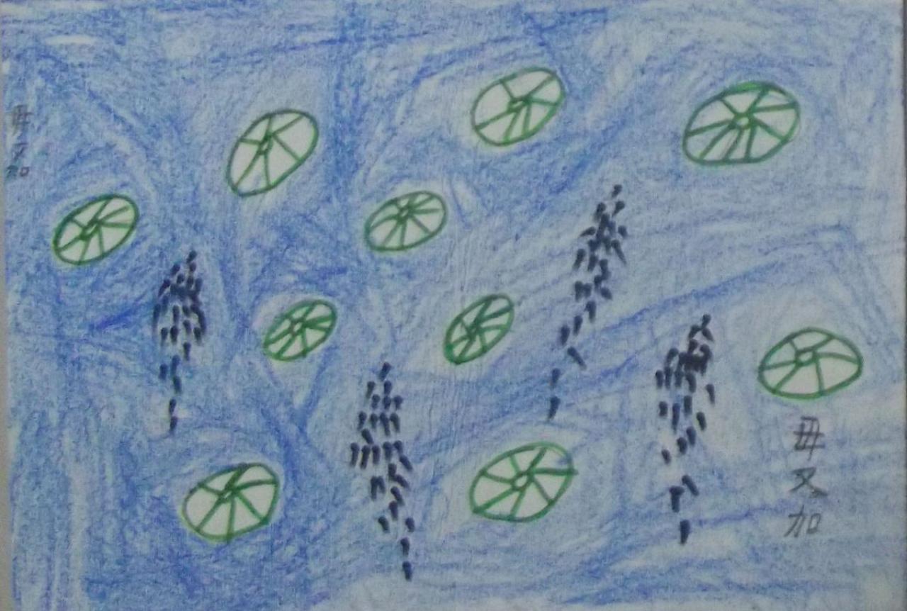 小蝌蚪找妈妈 毋又加画