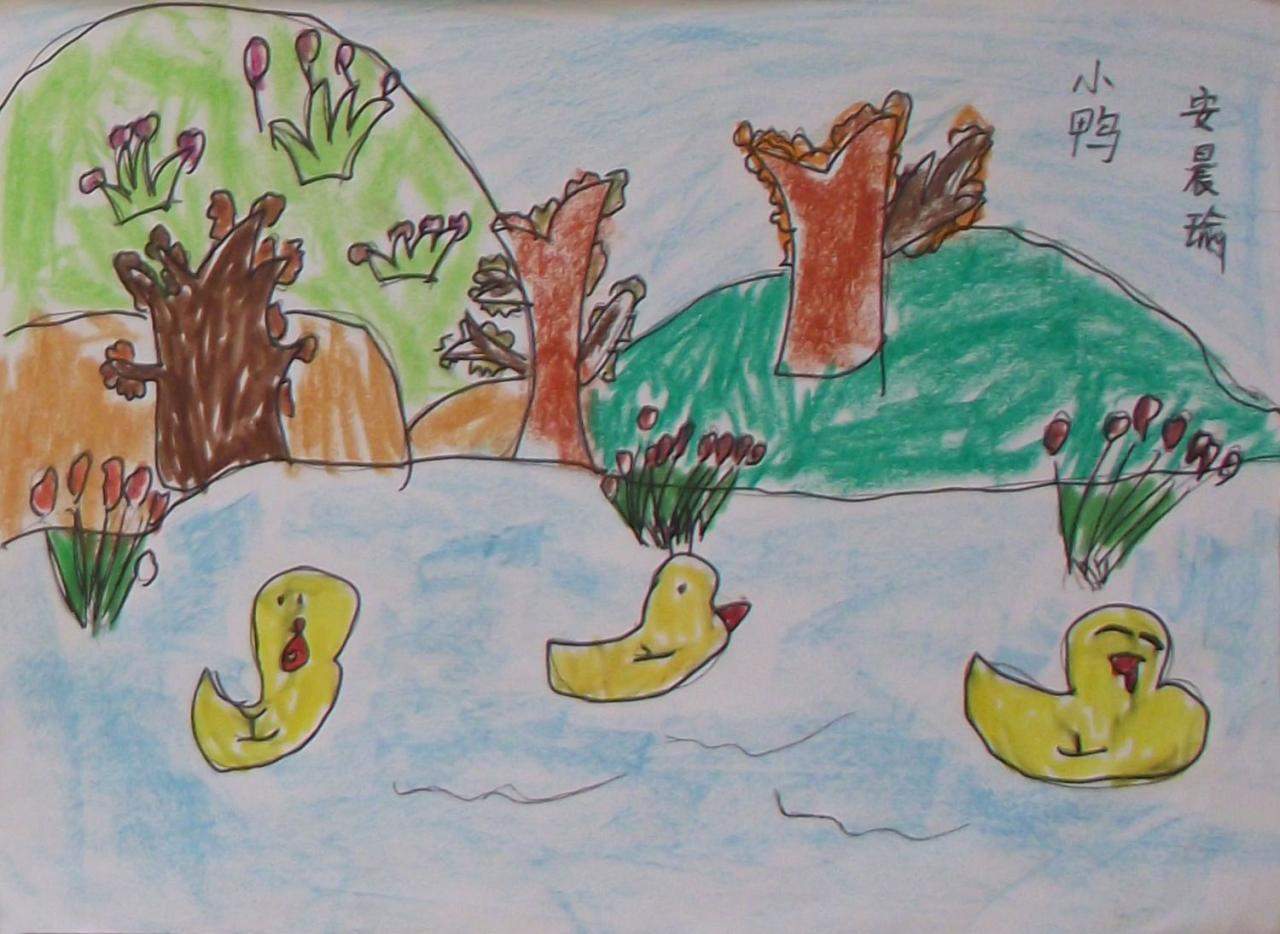 小鸭 安晨瑜画