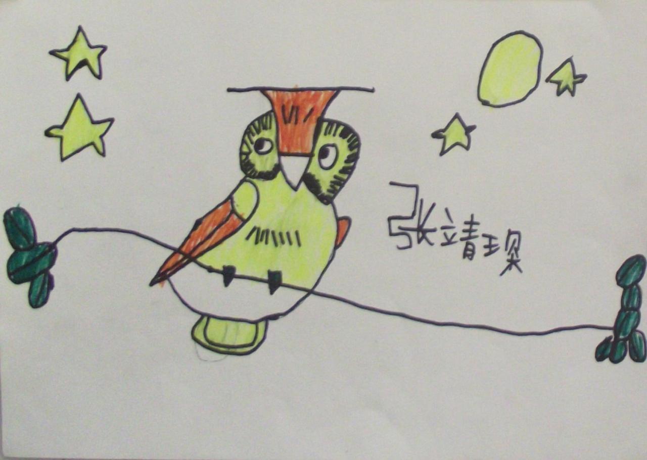猫头鹰 张靖琛画