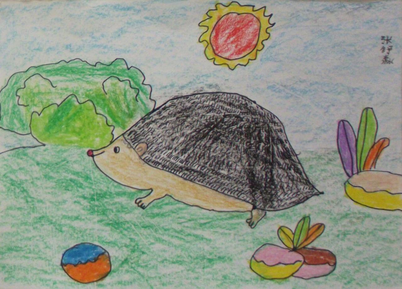 小刺猬 张舒淼画