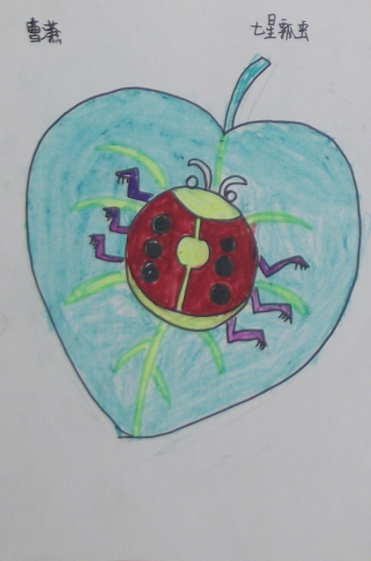 七星瓢虫 曹潇画