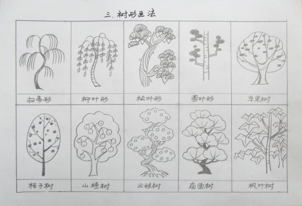 第三步,树形的画法