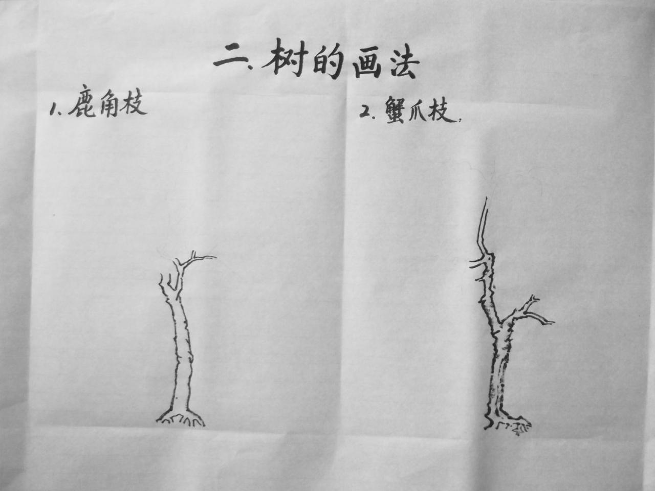 第一步,用中锋和侧锋勾描树干的轮廓