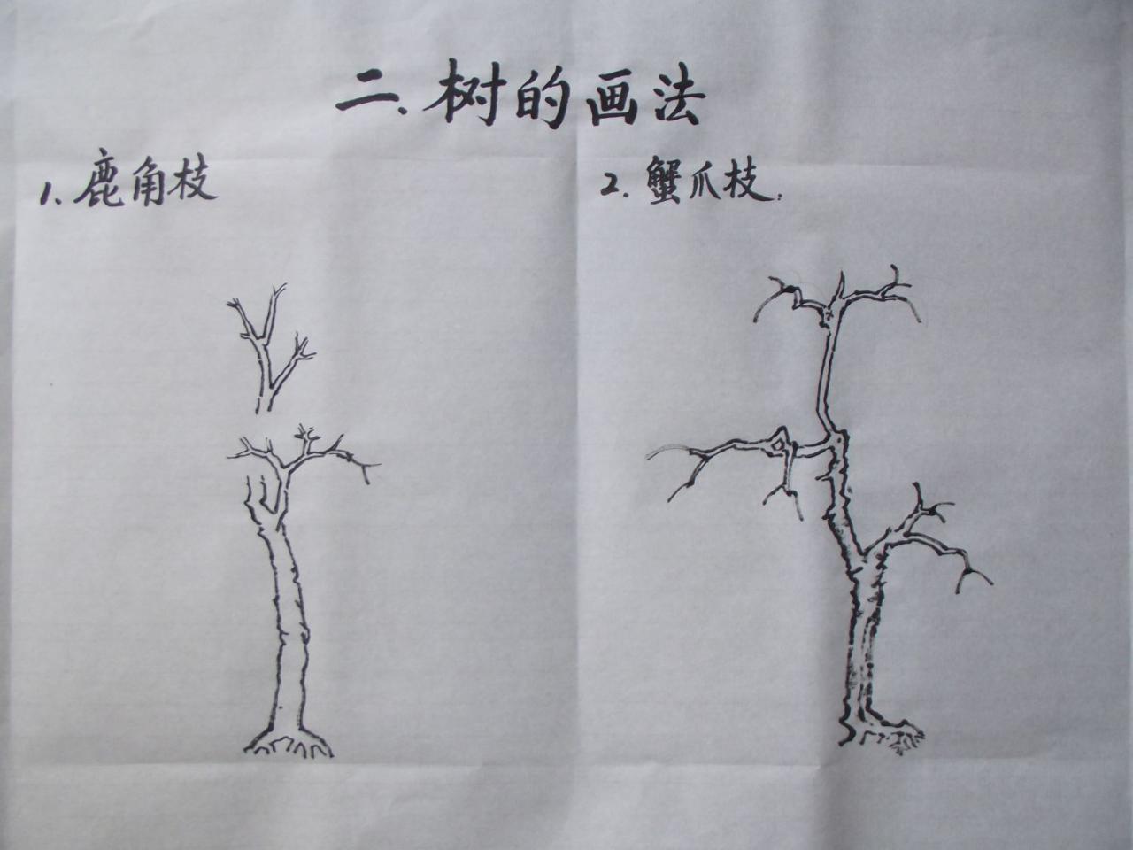 第二步,画出主要枝干的位置