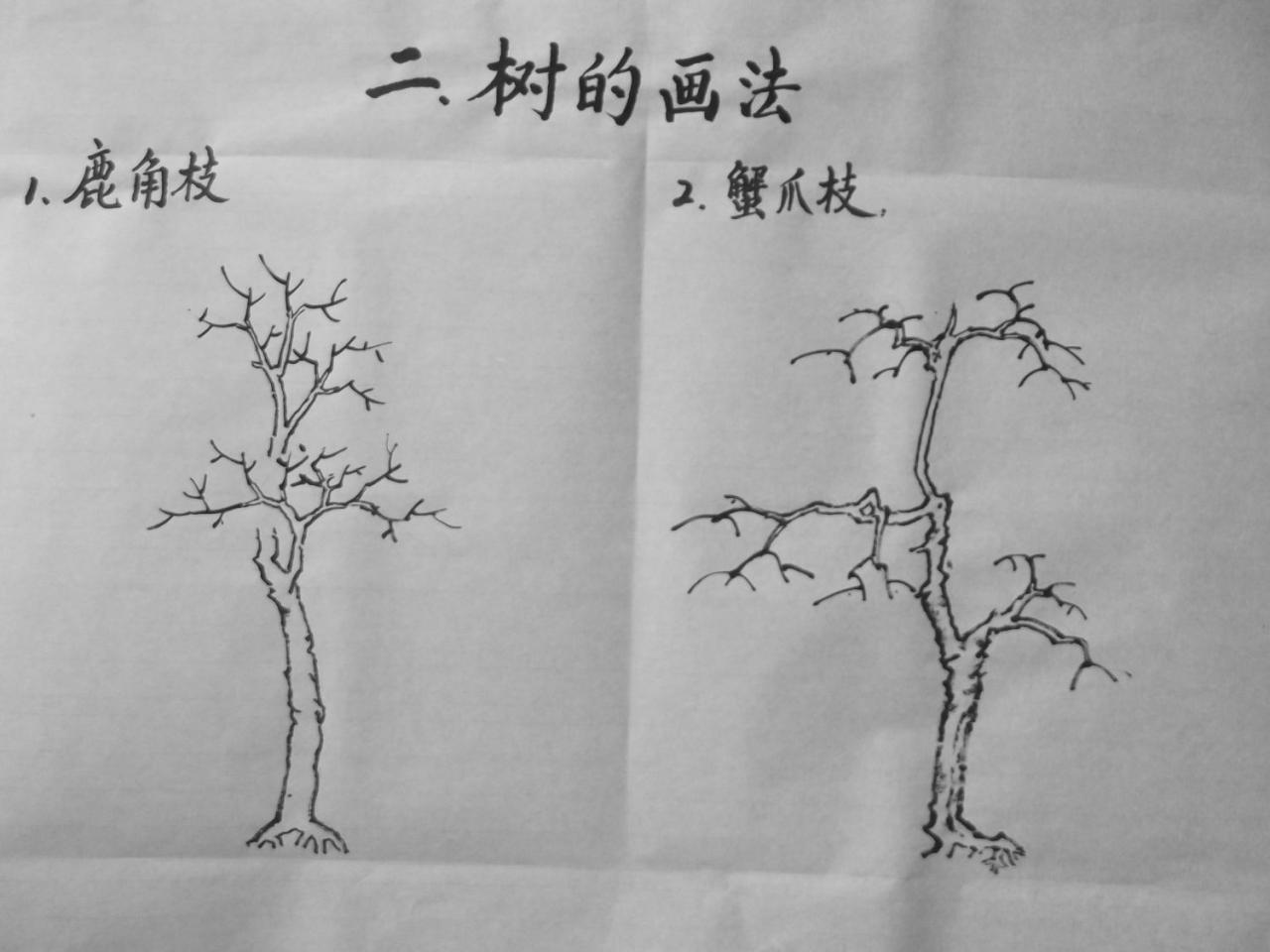 第三步,画主要树枝