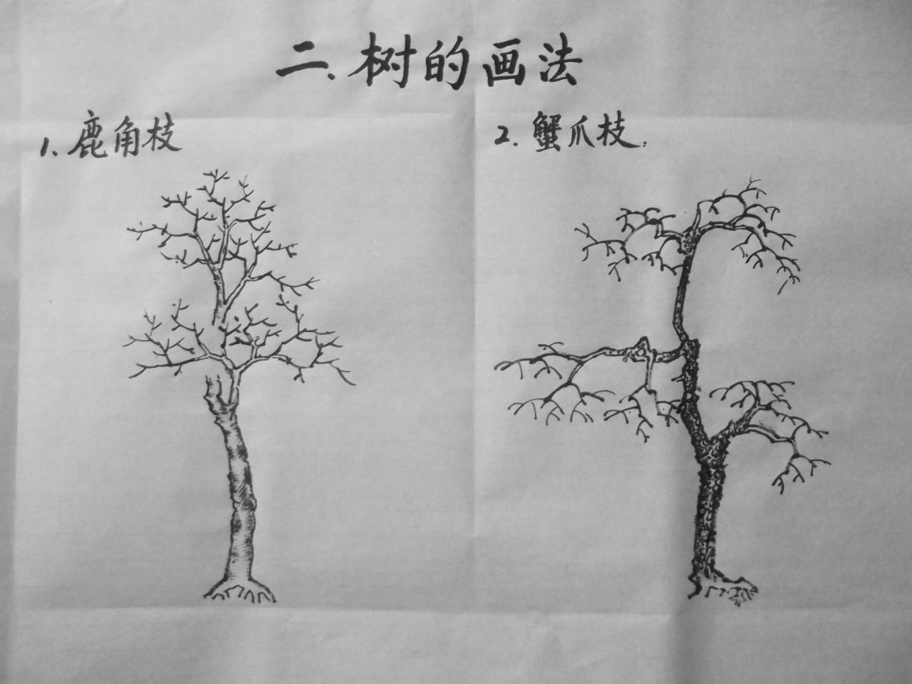 第四步,填画小枝,并皴出树干的树皮