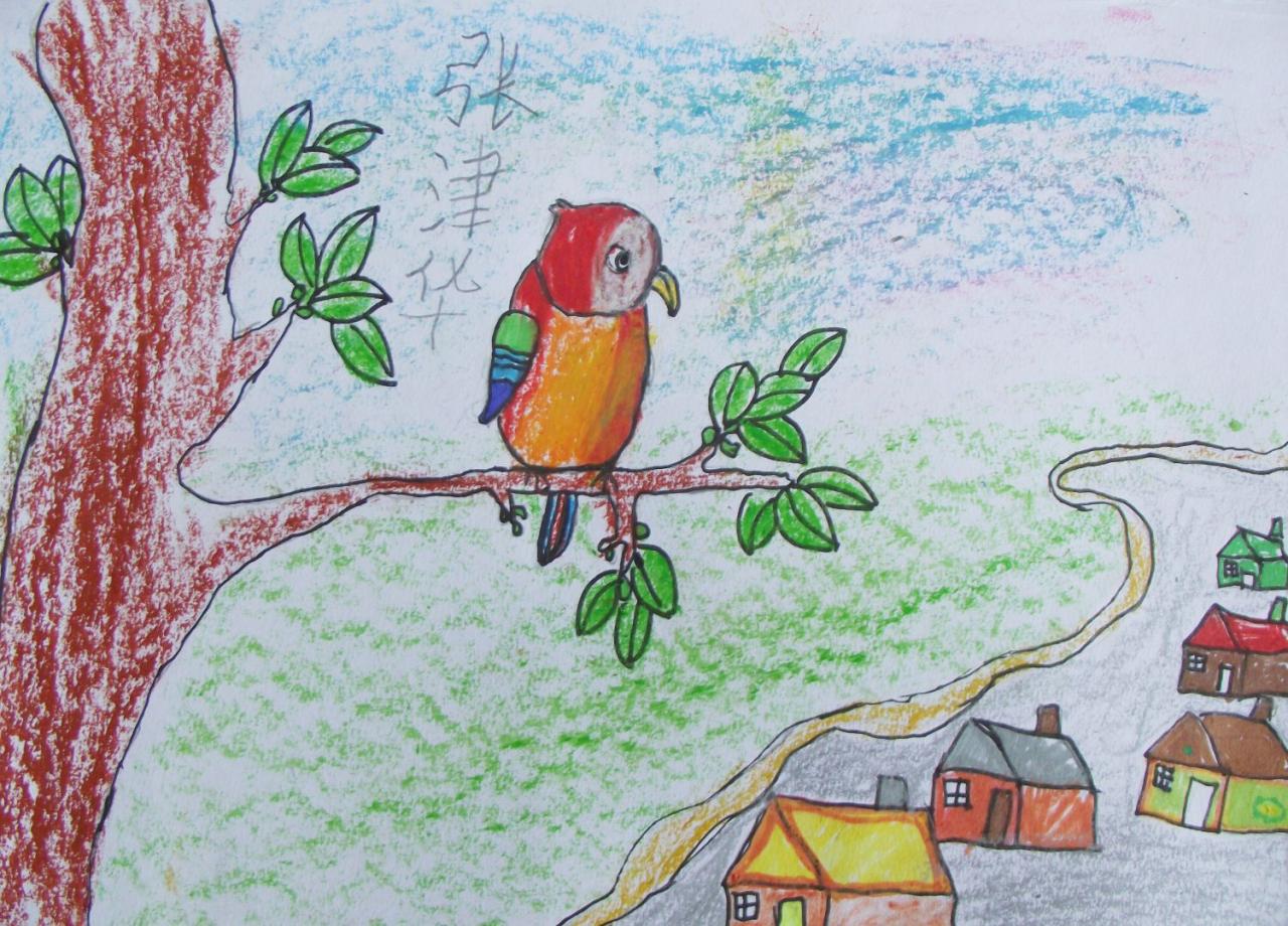 鹦鹉 张津华画