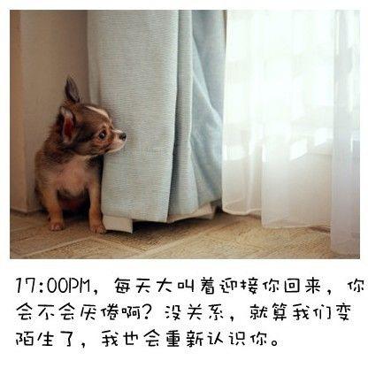 狗狗的内心独白连环画9