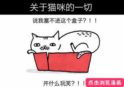 因为喜欢猫，所以喜欢它的一切暴走漫画封面