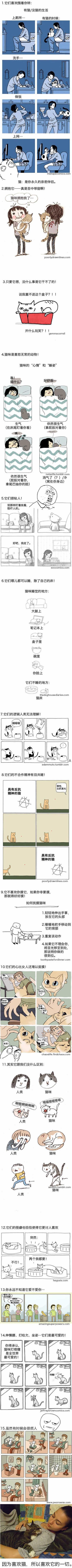 因为喜欢猫，所以喜欢它的一切暴走漫画正文