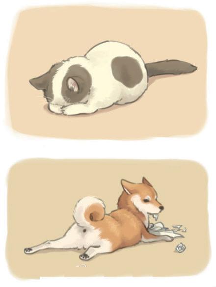 喵星人和旺星人在主人不在家时会做什么漫画