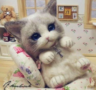 喵星人的自己扮演成玩具猫