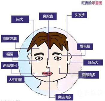 什么叫旺妻脸图解