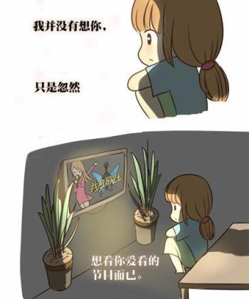 我并没有想你，只是忽然想看你爱看的节目而已
