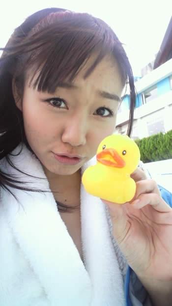 爱卖萌的小黄鸡