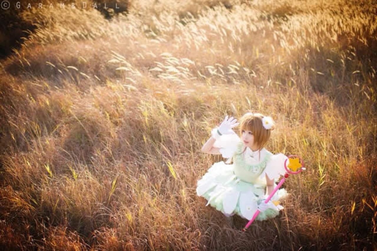 兔娘Cos魔法少女小圆芦苇丛中望着芦苇随风摆动的方向，俯拍横幅照