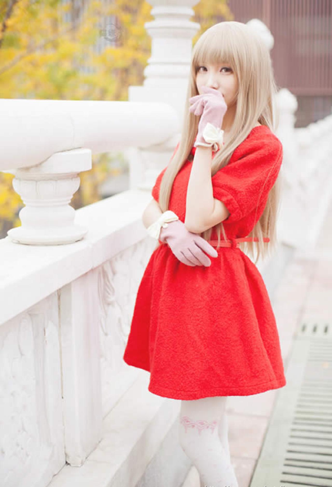 猫嫌秋天落叶摆拍站在石桥上