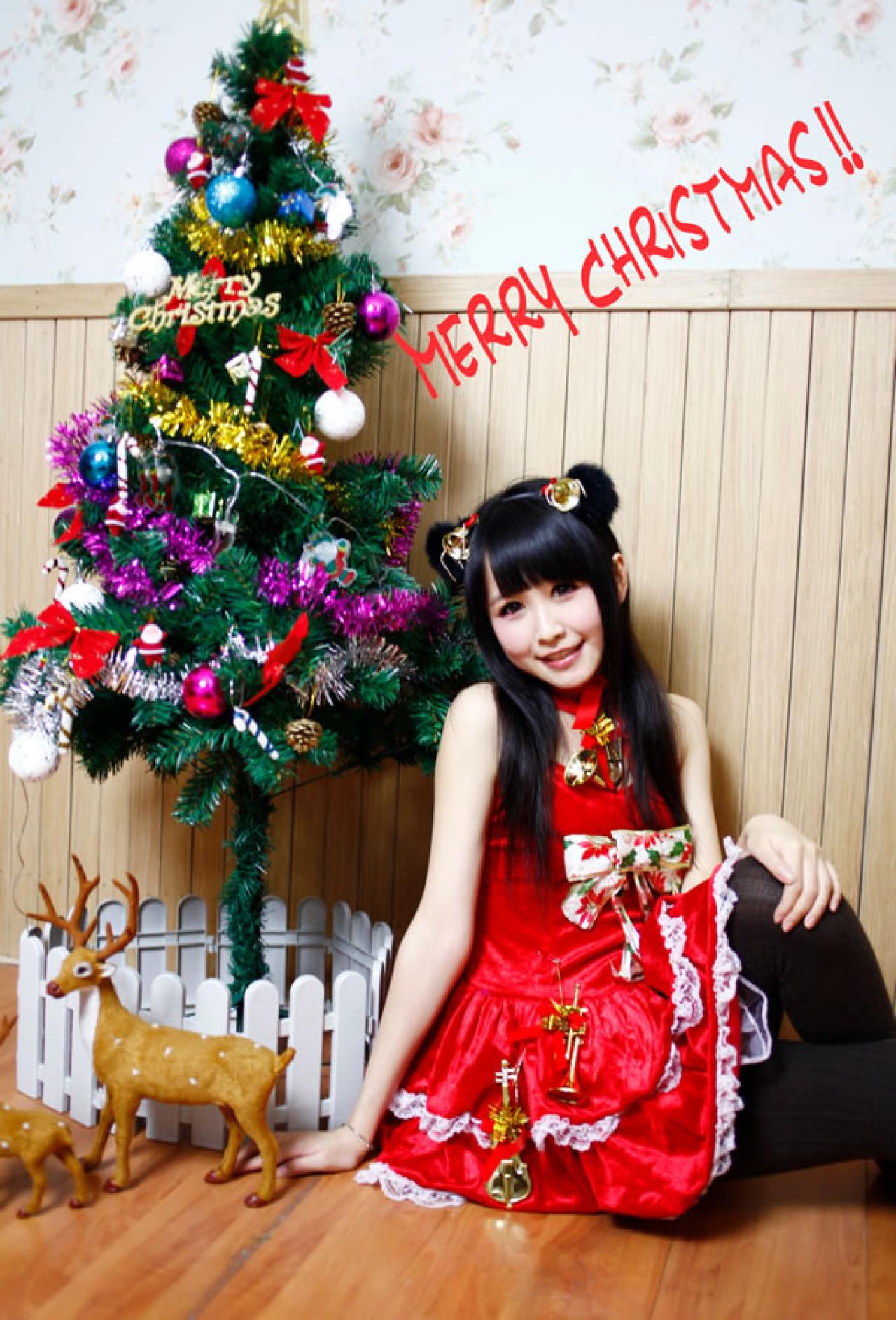 小Can和圣诞树，小麋鹿的合影，照片上写着红色的祝福语Merry christmas