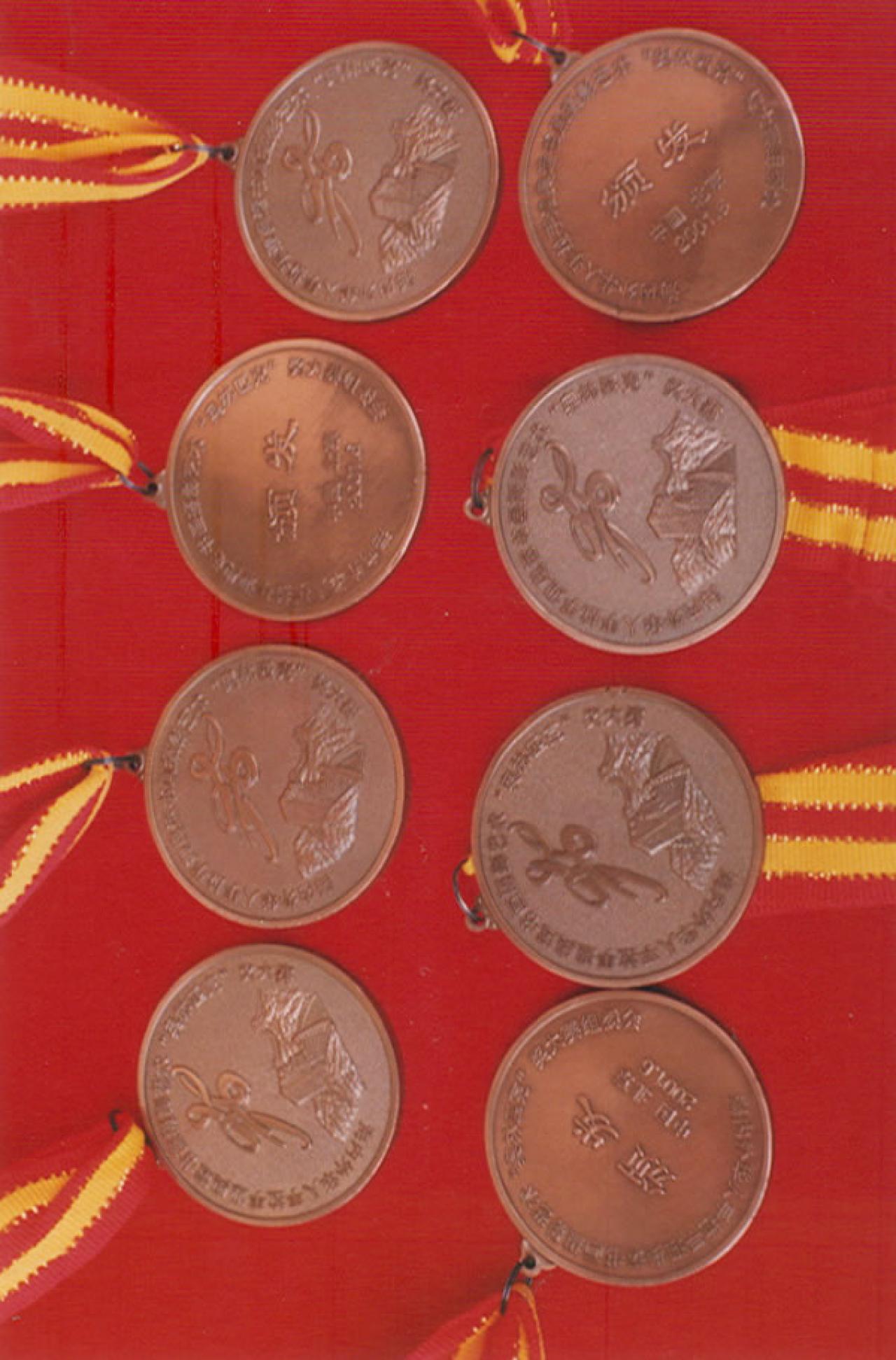 圆梦画室所获铜牌