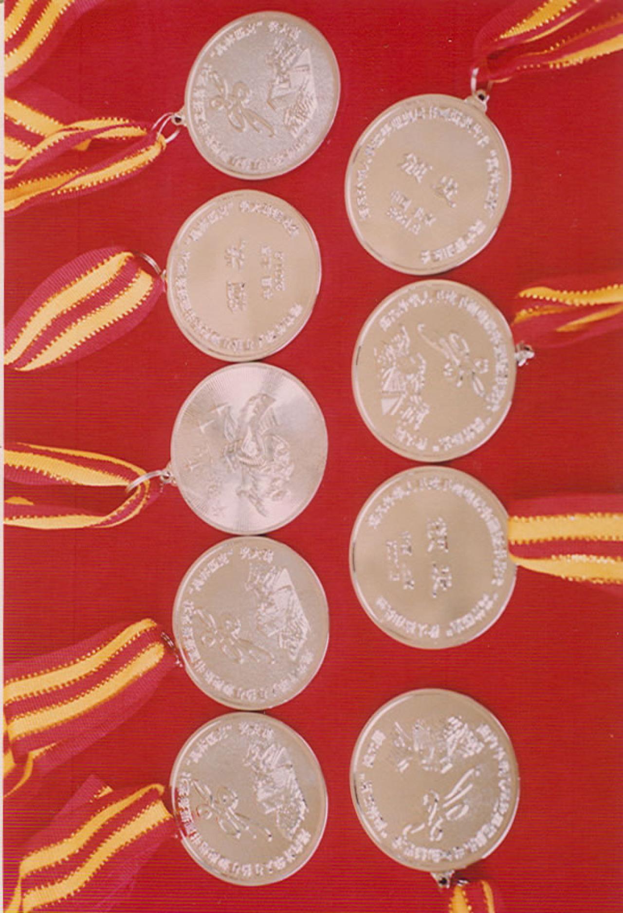 圆梦画室所获银牌