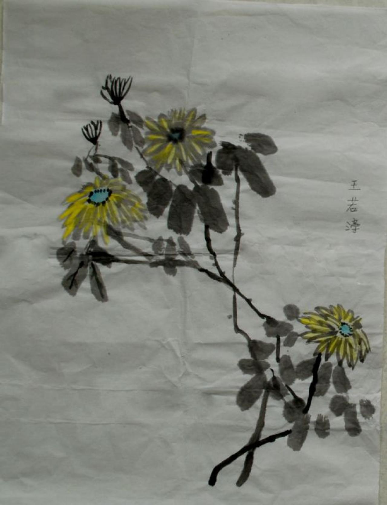 菊花 王若泽画
