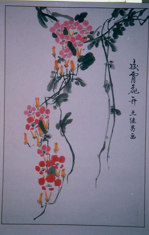 凌霄花开 壬继男画