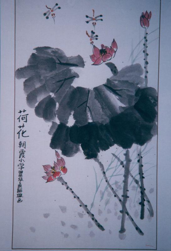 荷花 谢璇画