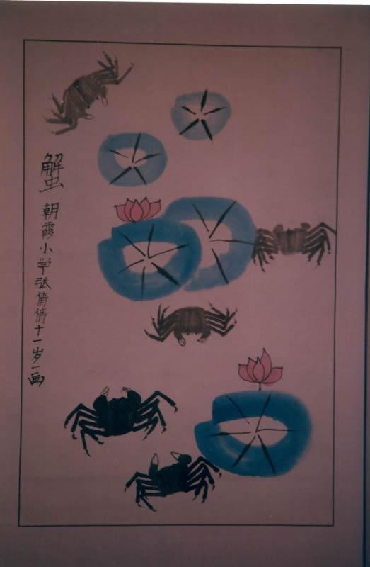 蟹 张倩倩画