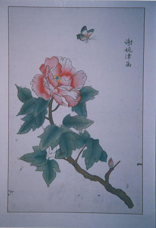 蝴蝶与花 谢婉津画