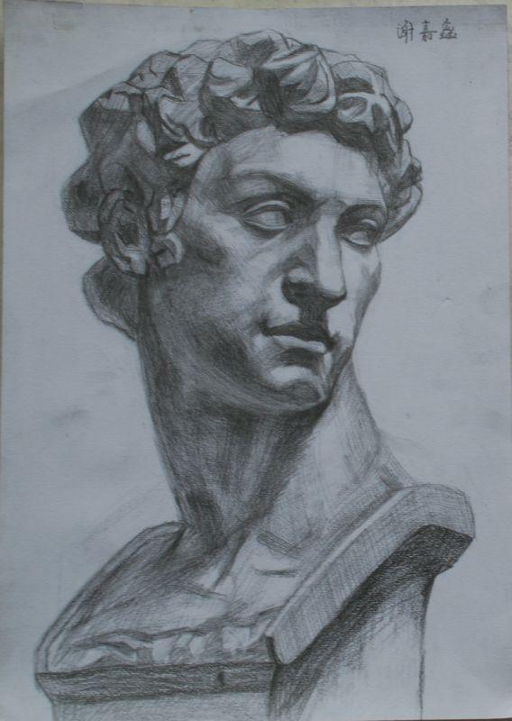 石膏头像大卫 谢嘉鑫画