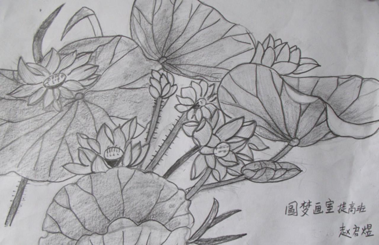 莲花、荷叶池塘 圆梦画室提高班 赵启煜画