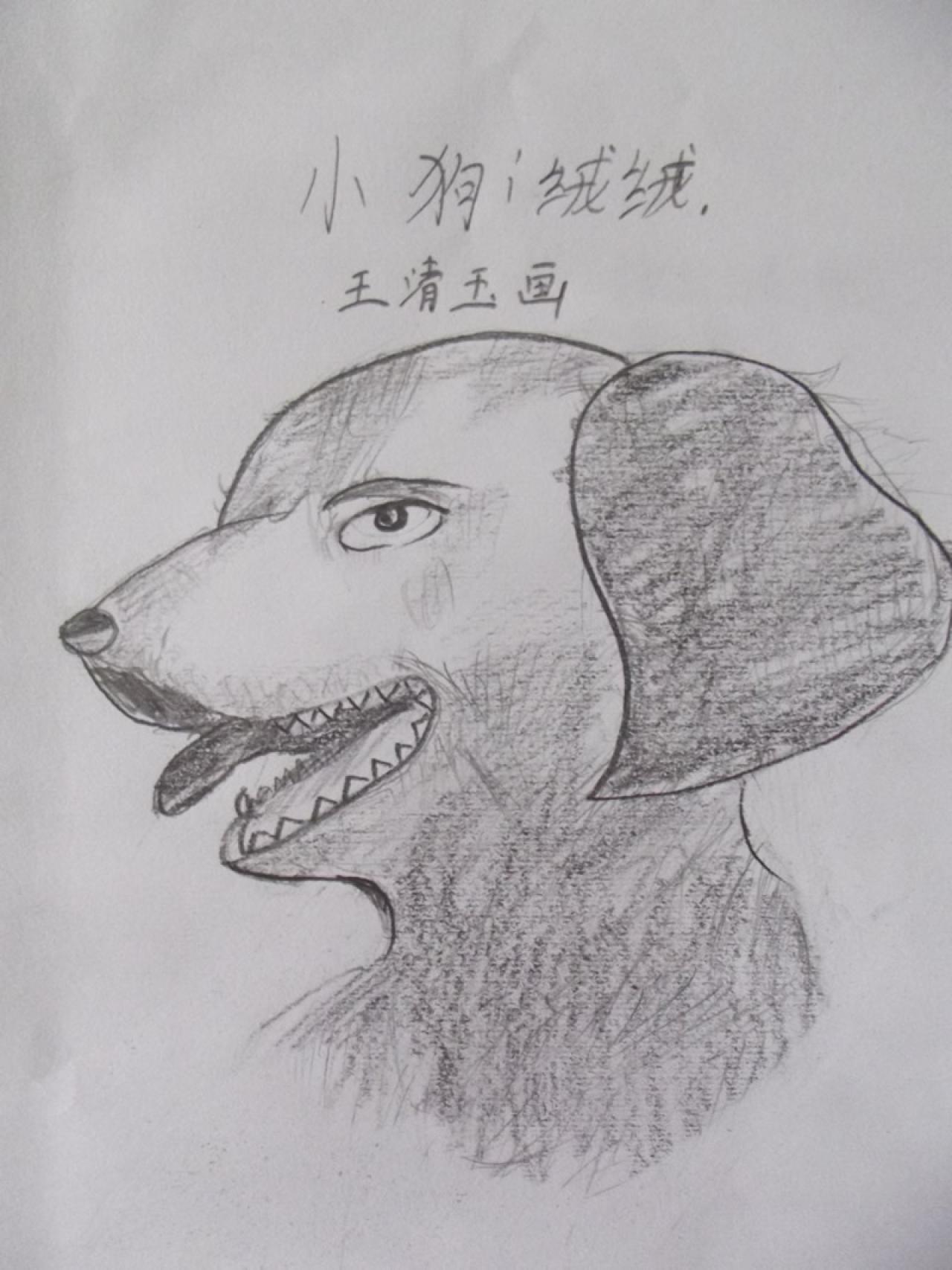 小狗绒绒 王清玉画