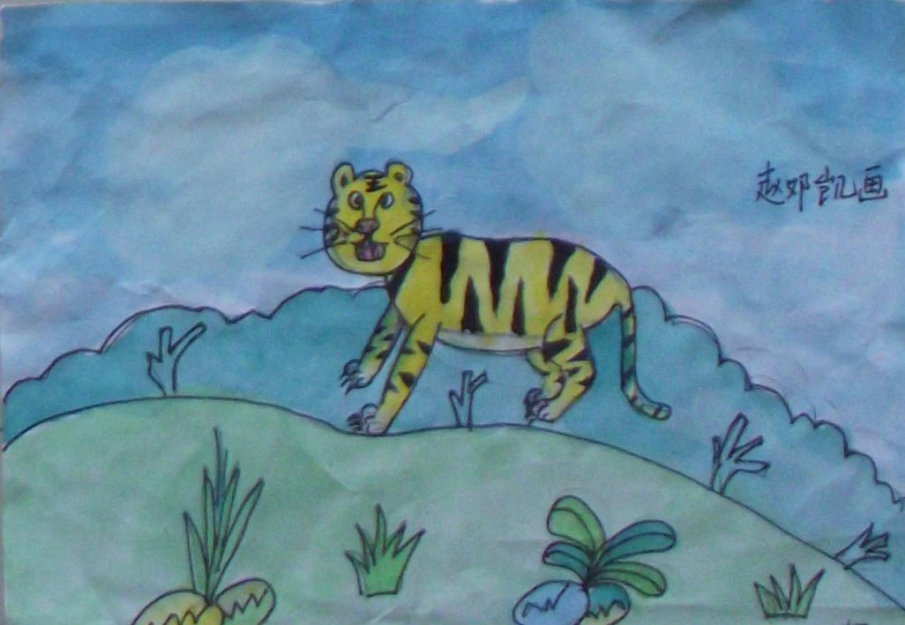 小老虎 赵邓凯画