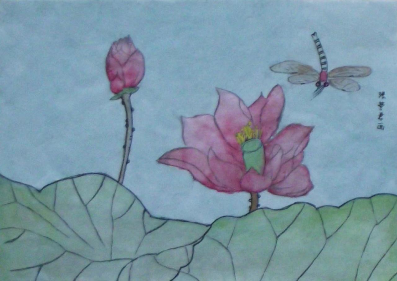 荷花和蜻蜓 张营君画