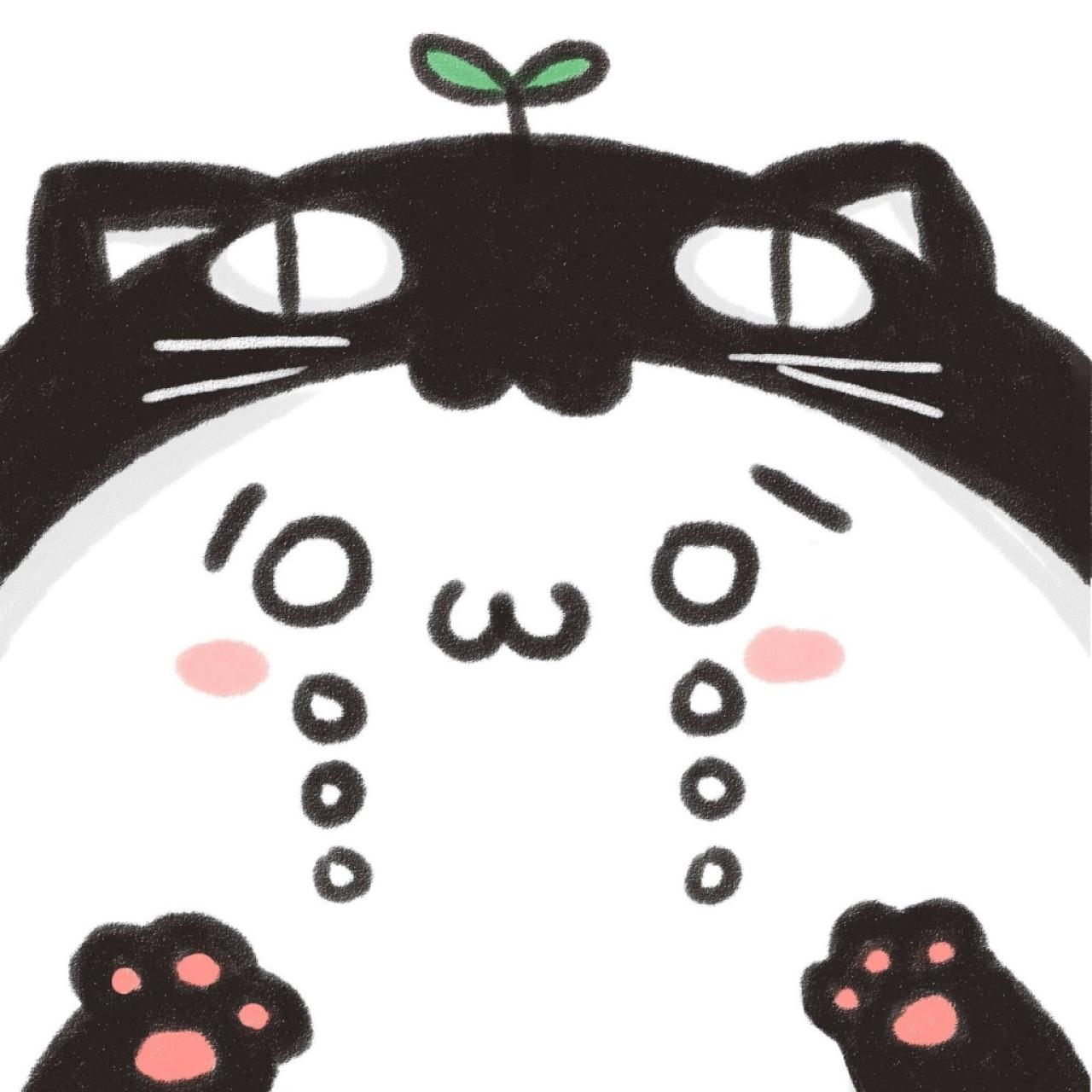 黑猫睡衣，哭泣神情