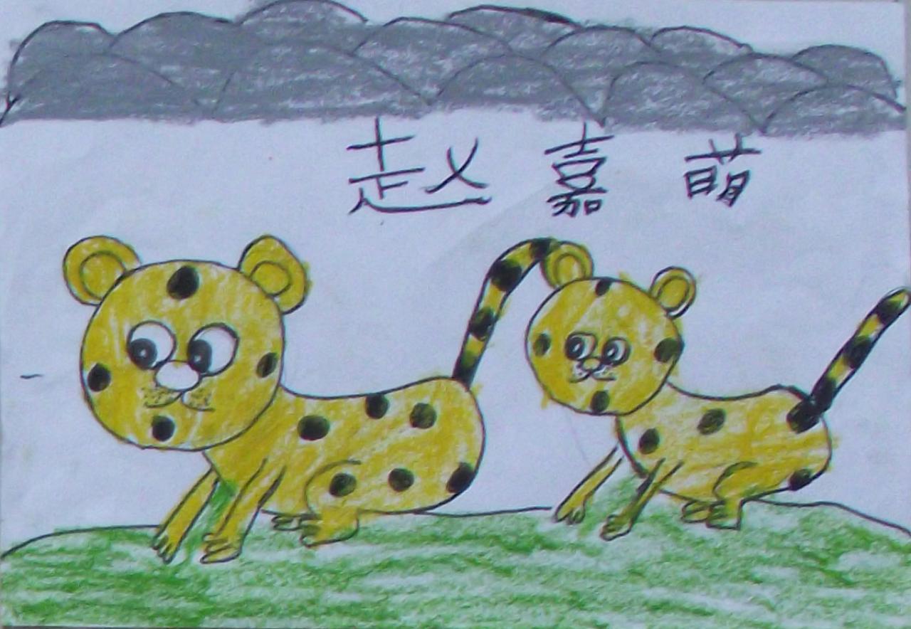 两只小豹子 赵嘉萌画