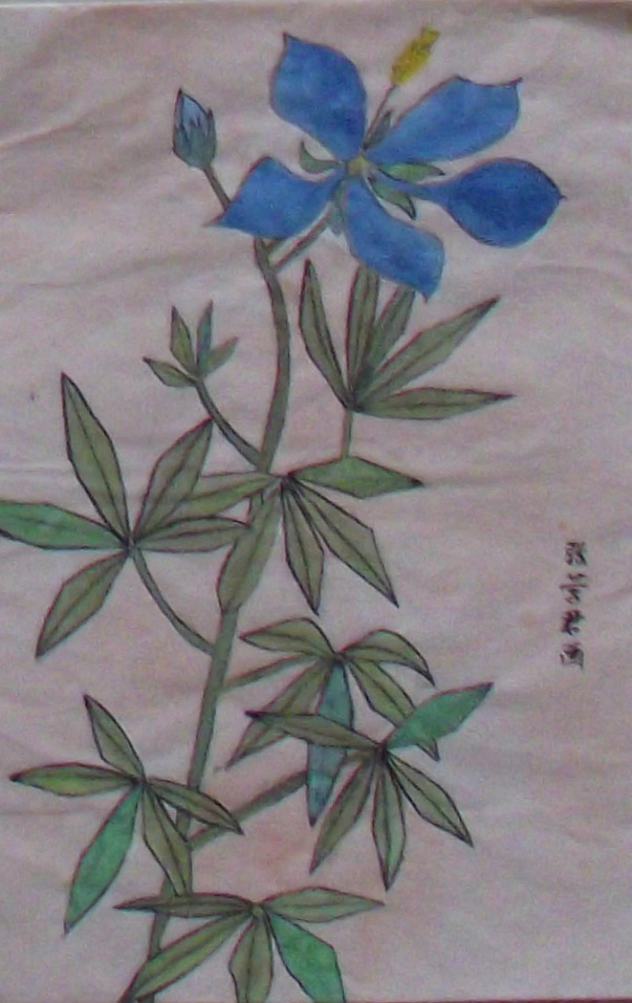 兰花 张营君画