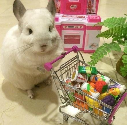 龙猫布布正推着小车逛超市，小车里摆满了各种水果、饮料和糖果