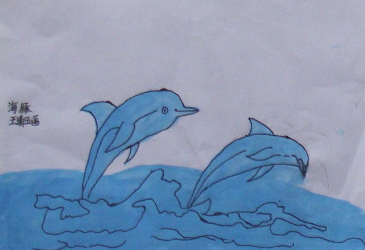 海豚 王清玉画