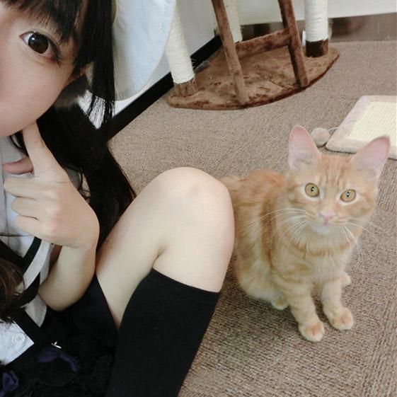 尾喵用食指戳着脸颊歪着脑袋卖萌，猫咪也抬起头给了一个镜头一个正脸