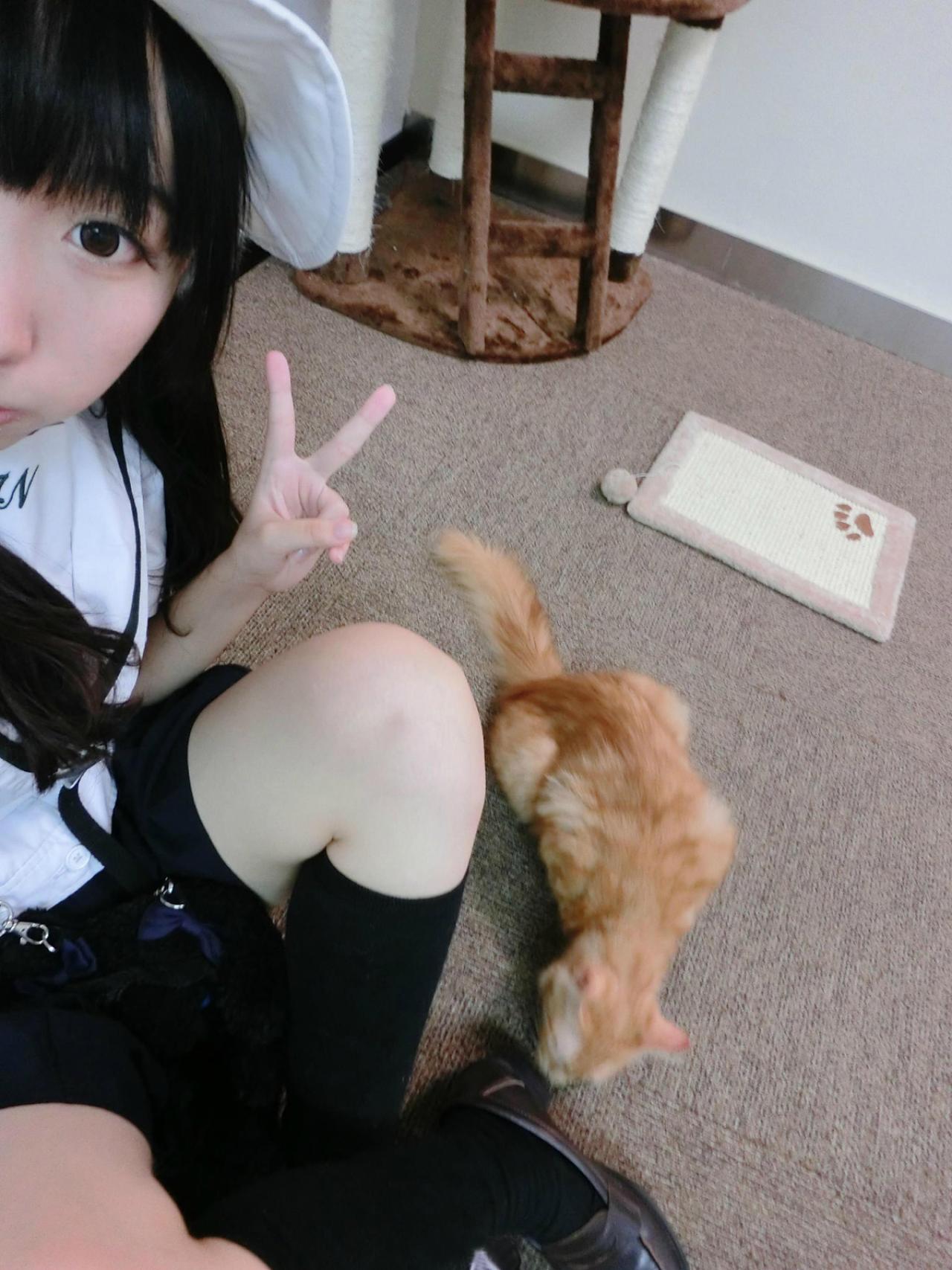 尾喵作剪刀手，小猫咪在嗅尾喵的制服鞋