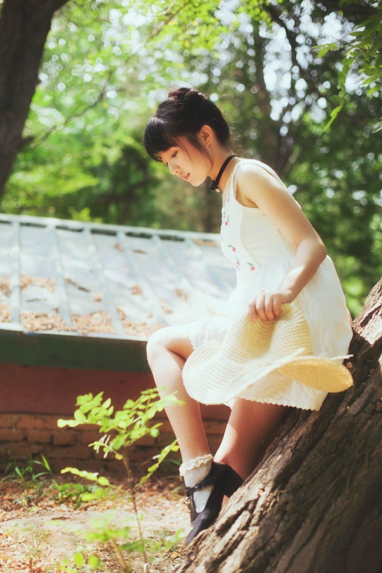 小陆离靠坐在倾斜的树干上