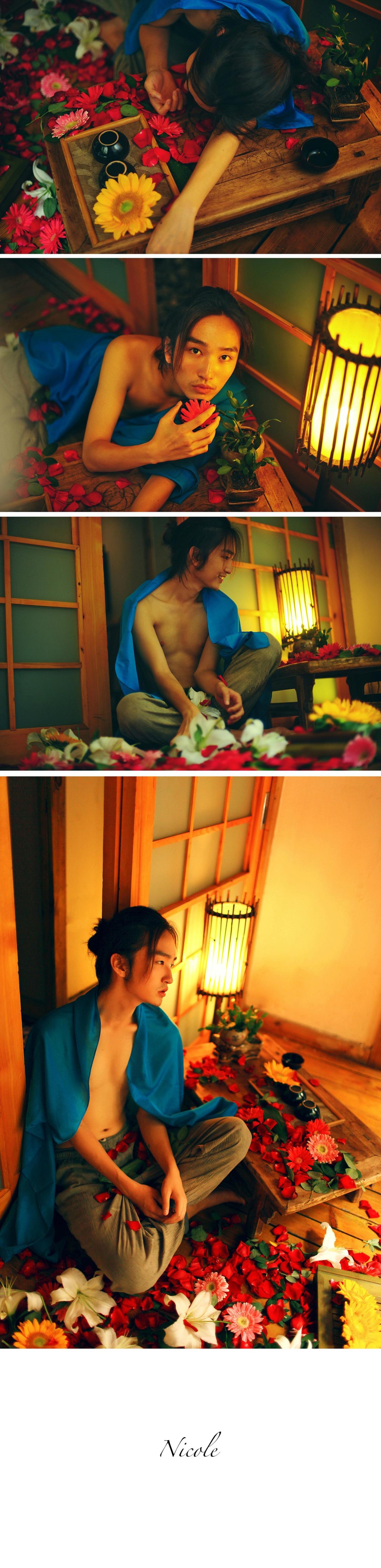 海滩上的野狮披着蓝色绸缎的一组照片