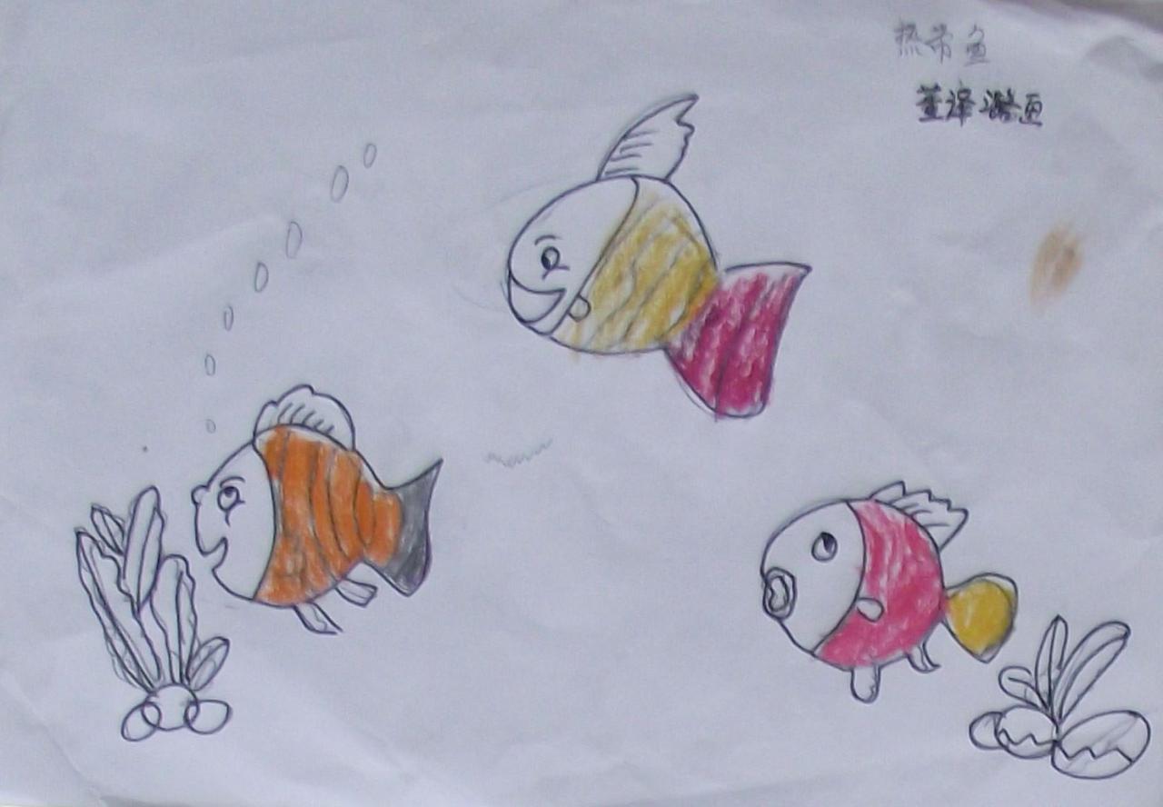 热带鱼 董译潞画