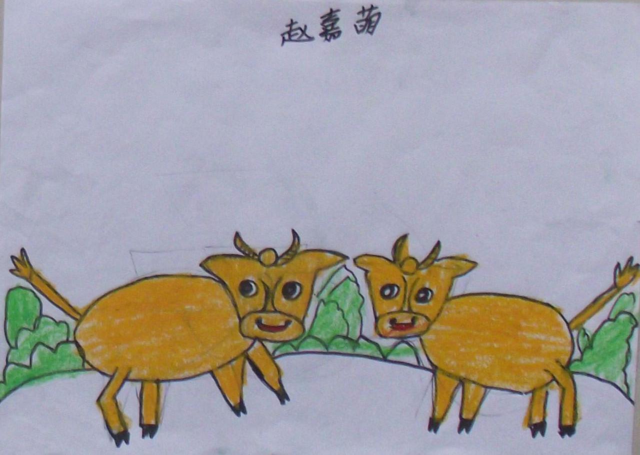 两只小牛 赵嘉萌画
