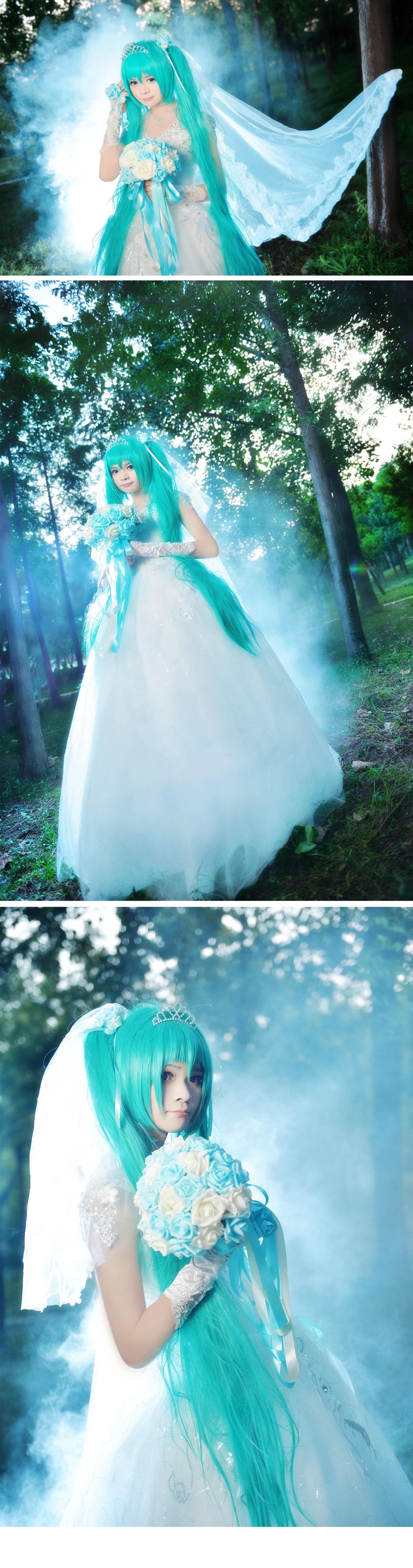 小线在树林里的摆拍