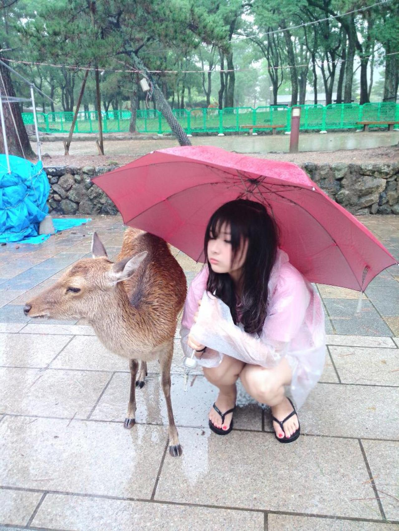 煎饺好好吃啊OvQ撑着伞和小鹿在一起