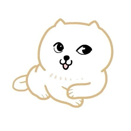 白色小猫萌头像