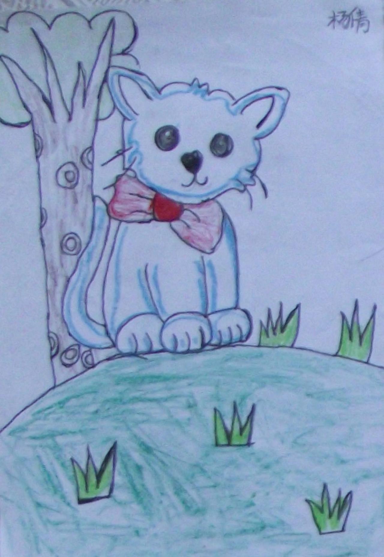 猫咪 杨倩画